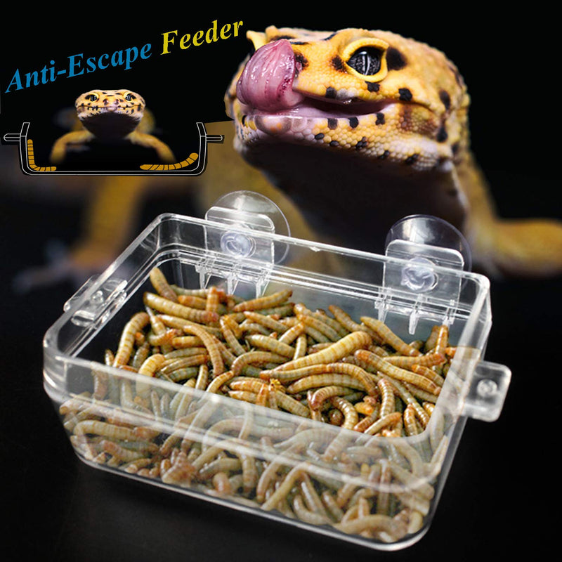 Fuongee Reptile Gecko Feeder Dish Bowl Chameleon Worm Anti-Escape Bowl Suction Cup Feeder for Reptiles, 1 Feeder and 2 Feeding Tong - PawsPlanet Australia
