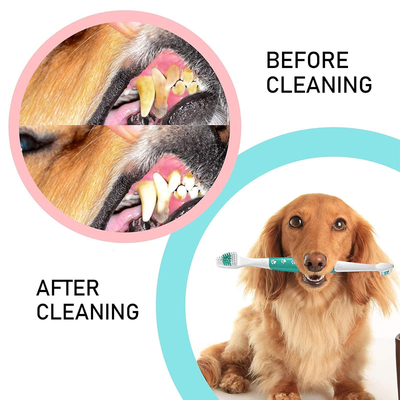 Toothbrush - dental care for dogs, dog toothbrush for dogs and cats, with special bristle cut for thorough and gentle cleaning, tartar for dogs, optimal dog dental care - 2 pieces Green Verde 1 piece (pack of 1) - PawsPlanet Australia