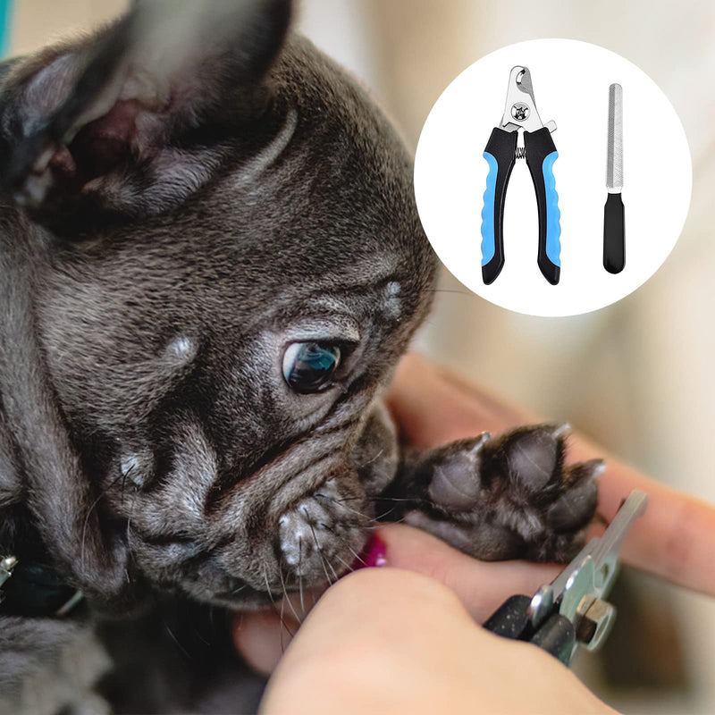 Claw scissors for dogs and cats, cat claw scissors with nail file, stainless steel claw pliers, large nail clippers with safety protection for pets with protection device for home - PawsPlanet Australia