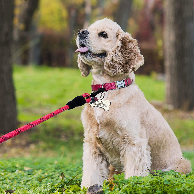 [Australia] - beebiepet Classic Dog Collar with Strong Metal Buckle Adjustable Dog Collars for Small Medium Large Dogs collar+leash S neck 11"-14" Turquoise 