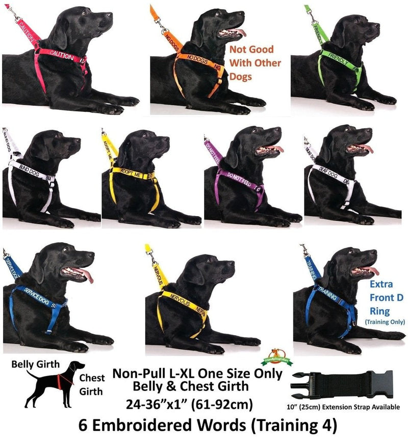 NERVOUS (Give Me Space) Yellow Colour Coded S-M L-XL Dog Collars PREVENTS Accidents By Warning Others Of Your Dog In Advance (L-XL) Large-X Large Collar - PawsPlanet Australia