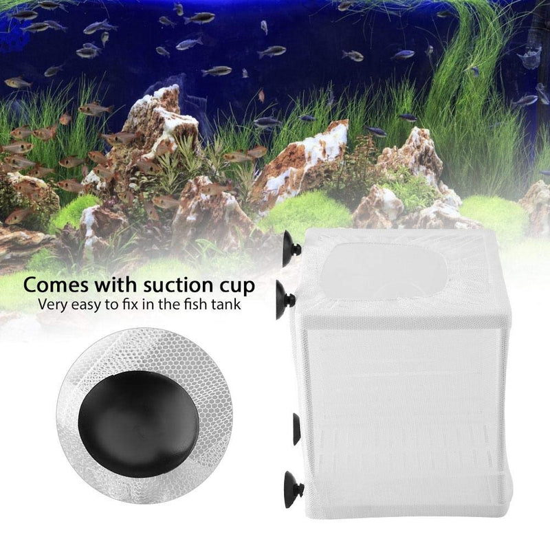 Fish Incubator Mesh Box Fish Tank Isolation Box Fish Breeder Net Fry Hatchery Incubator with Suction Cup Isolation Board - PawsPlanet Australia