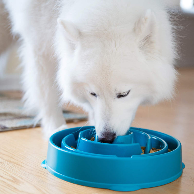 Outward Hound Fun Feeder Slo Bowl, Slow Feeder Dog Bowl, Large/Regular, Turquoise Turquoise Drop - PawsPlanet Australia