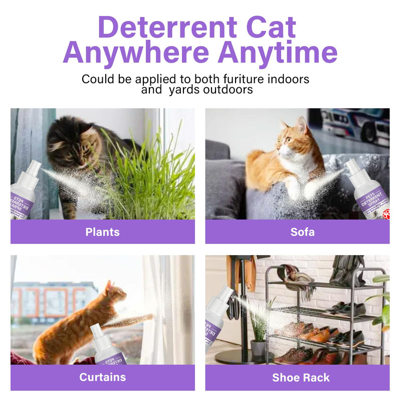 WERPOWER Cat Repellent Sprays, Anti-Scratch Training Spray & Scratch Deterrent Spray, Purple - PawsPlanet Australia