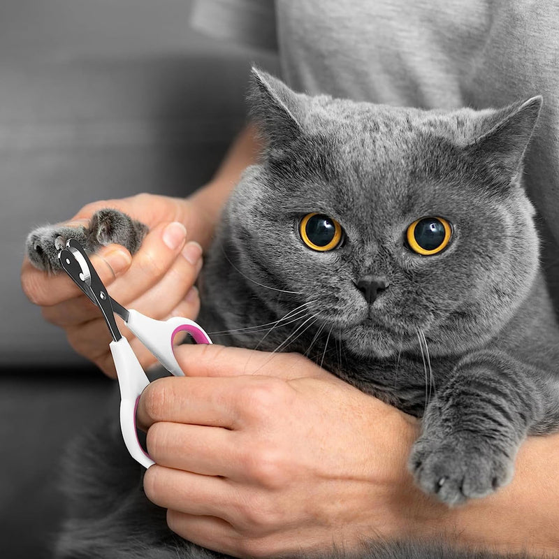 FIBOUND 2 pieces claw care cutters, claw scissors, cats, stainless steel claw scissors, claw cutters, cat nail clippers for small dogs, puppies, cats, rabbits, small animals (rose red) - PawsPlanet Australia