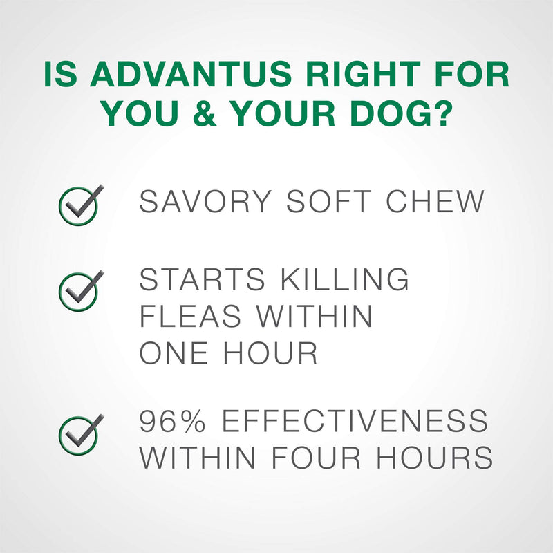 ADVANTUS CORPORATION Advantus Flea Soft Chews for Small Dogs 4-22 Pounds, 30 count - PawsPlanet Australia
