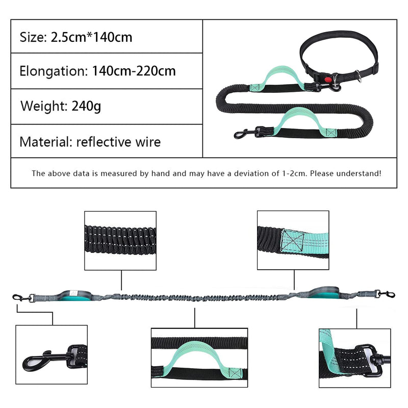 BIGLUFU Hands Free Dog Leash for Medium to Large Dogs, Running Walking Training Hiking, with Dual-Handle Reflective Bungee, Adjustable Waist Belt Dog Running Leash (Black Green) - PawsPlanet Australia