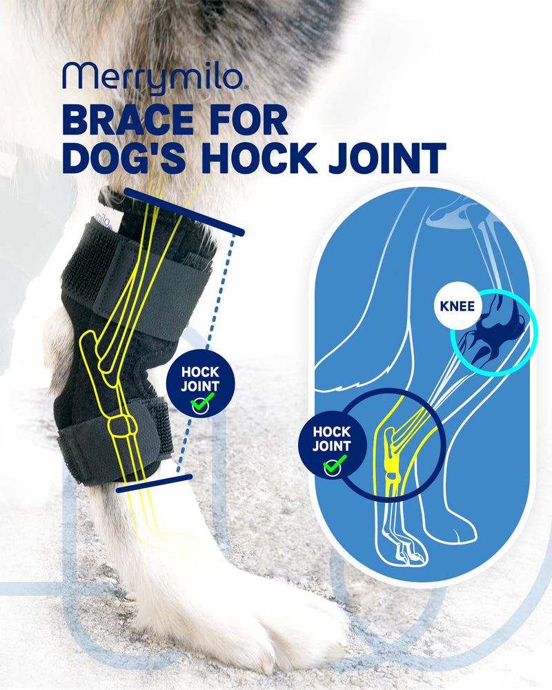 MerryMilo Dog Leg Brace for Rear Hock & Ankle, Canine Hind Leg Joint Compression Wrap for Torn ACL & CCL, Injury and Sprain Protection, Wound Care and Loss of Stability from Arthritis 1 Pair (Size: M) Medium - PawsPlanet Australia