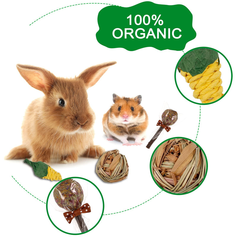 AKlamater 14Pcs Rabbit Chew Toys, Natural Hay Sticks for Rabbits, Loofah Apple Wood Grass Ball String for Rabbits Guinea Pig Hamsters Chinchilla - PawsPlanet Australia