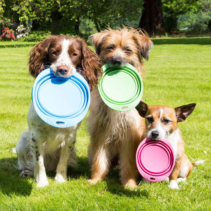 Beco Travel Bowl - Collapsable Silicone Food and Water Bowl for Dogs - M - Pink Medium - PawsPlanet Australia