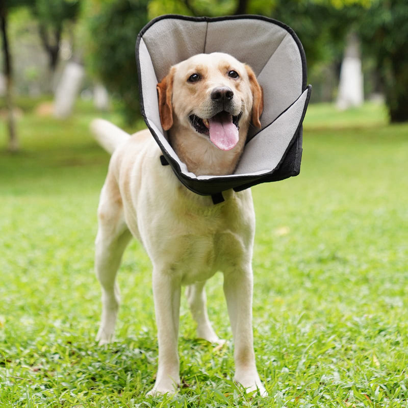 Neck collar for dogs, lightweight comfortable soft recovery Elizabethan collar for pets, adjustable protective collar for dogs, animal collar Elizabethan collar for pets M - PawsPlanet Australia