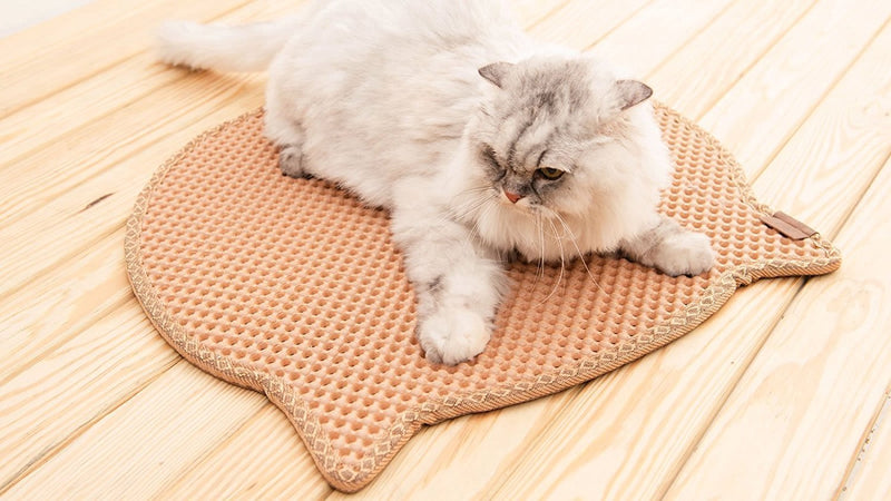 [Australia] - BlackHole Cat Litter Mat - Headshape 23" X 21" Beige 