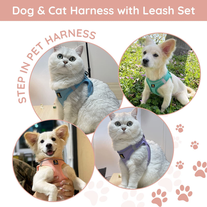 BELLA & PAL Dog Harness with Leash Set, Step in Vest Harness for Small and Medium Dogs, No Pull Harness for Puppy Dogs Medium Dogs, Air Mesh Dog Vest Harness, Pink, XS Coral Pink - PawsPlanet Australia