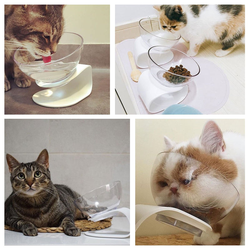 Pidan Studio Raised Cat Food Bowl With Stand Elevated Pet Bowls Perfect for Cats and Small Dogs - PawsPlanet Australia