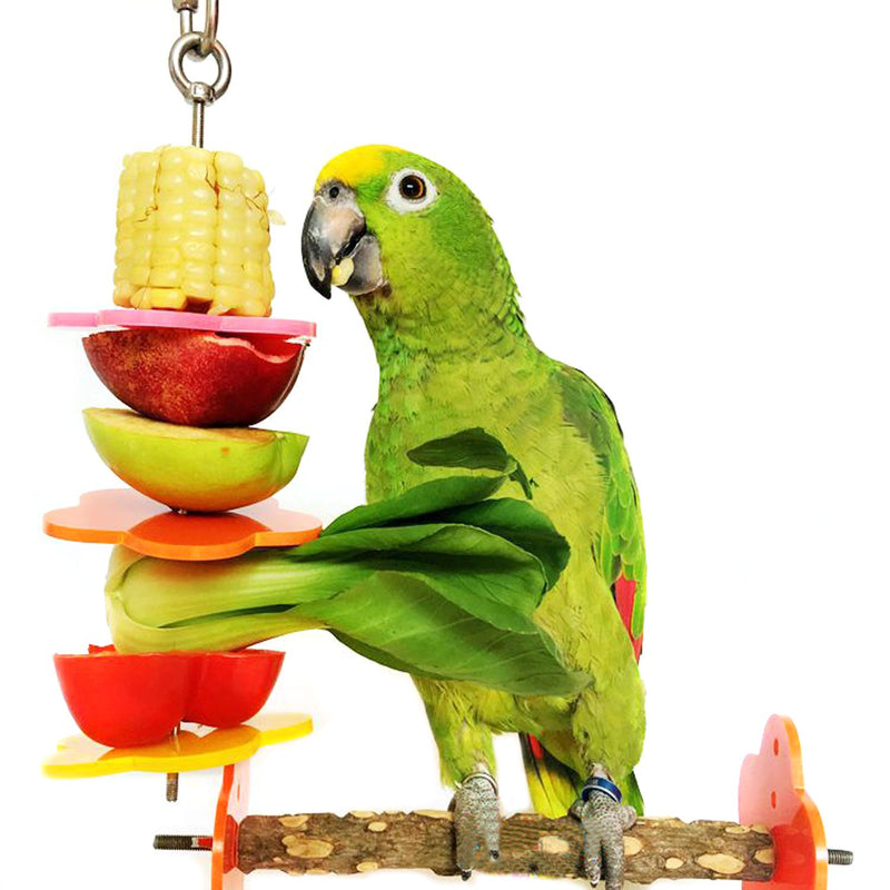 [Australia] - RYPET Bird Skewer,Bird & Small Animals Stainless Steel Fruit Vegetable Holder for Cages Length:7.87" 
