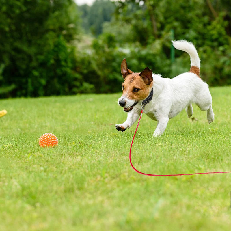 Hausure Dog Runner tie Out Cable, 30ft Dog Runner with Shock Absorbing Spring, Reflective Dog Cable for Yard and Camping, Rust Proof Dog Yard Run Leash up to 250lbs 30ft/250lbs - PawsPlanet Australia