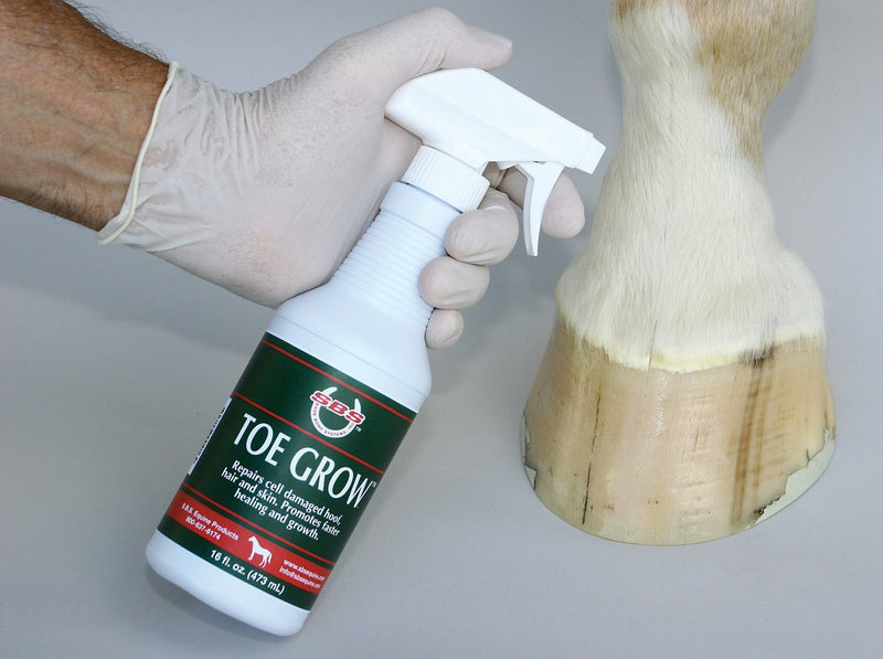 SBS EQUINE Item 416 Toe Grow Hoof Repair Spray, One Size - PawsPlanet Australia