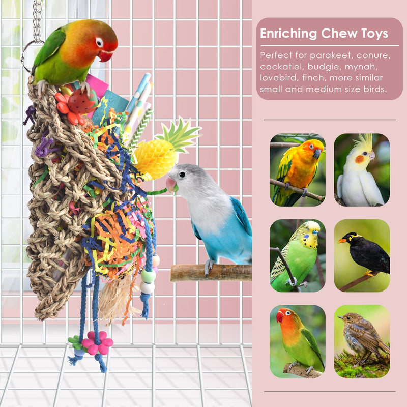 KATUMO Bird Toys, Seagrass Basket Bird Toy with Array of Chewable Parrot Foraging Toys for Small Medium Parrot Birds - PawsPlanet Australia