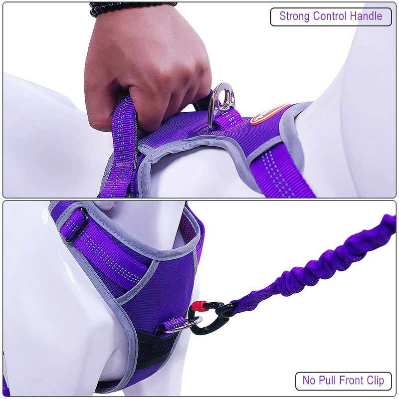 [Australia] - AdventureMore Dog Harness Leash Set, No-Pull Dog Harness, Front Clip Dog Harness, Reflective Dog Vest, with 5 ft Dual Handle Dog Leash, Padded Handles Bungee Training Dog Leash L(chest 17-35"/neck 18-26") Purple 