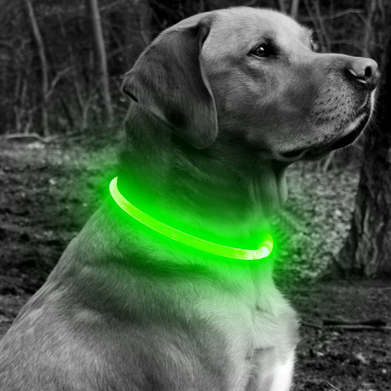 [Australia] - BSEEN LED Dog Collar, USB Rechargeable Glowing Pet Collar, TPU Cuttable Dog Safety Lights for Small Medium Large Dogs Green 