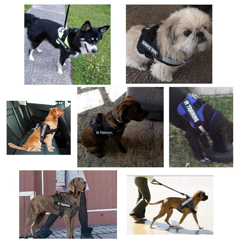 [Australia] - Bolux Dog Vest Patches, 2 PCS Removable Patches Velcro for Dog Harness – Emotional Support/Service Dog/in Training/THAREPY Dog/DO NOT PET/Keep Going PU Dog Halter Patches IN TRAINING Medium - 4.3×1.2 inch 