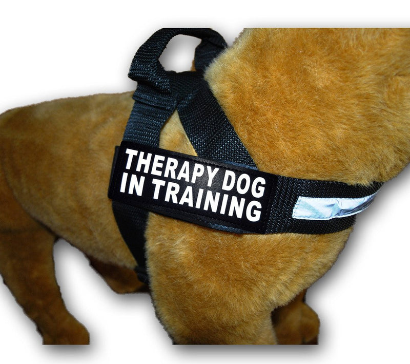 [Australia] - Therapy Dog in Training Nylon Harness No Pull Guide Assistance Comes with 2 Reflective Therapy Dog in Training Removable Reflective Patches. Please Measure Your Dog Before Ordering. Fits Girth 29-39" 