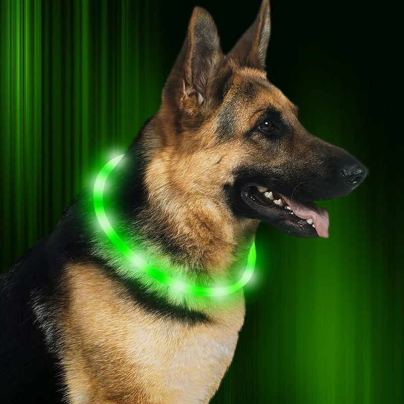 [Australia] - HiGuard LED Dog Collar, USB Rechargeable Glowing Pet Safety Collars, Adjustable Water-Resistant Flashing Light Up Necklace Collar Make Your Dogs High Visible & Safe in the Dark (1Pack-Green) 