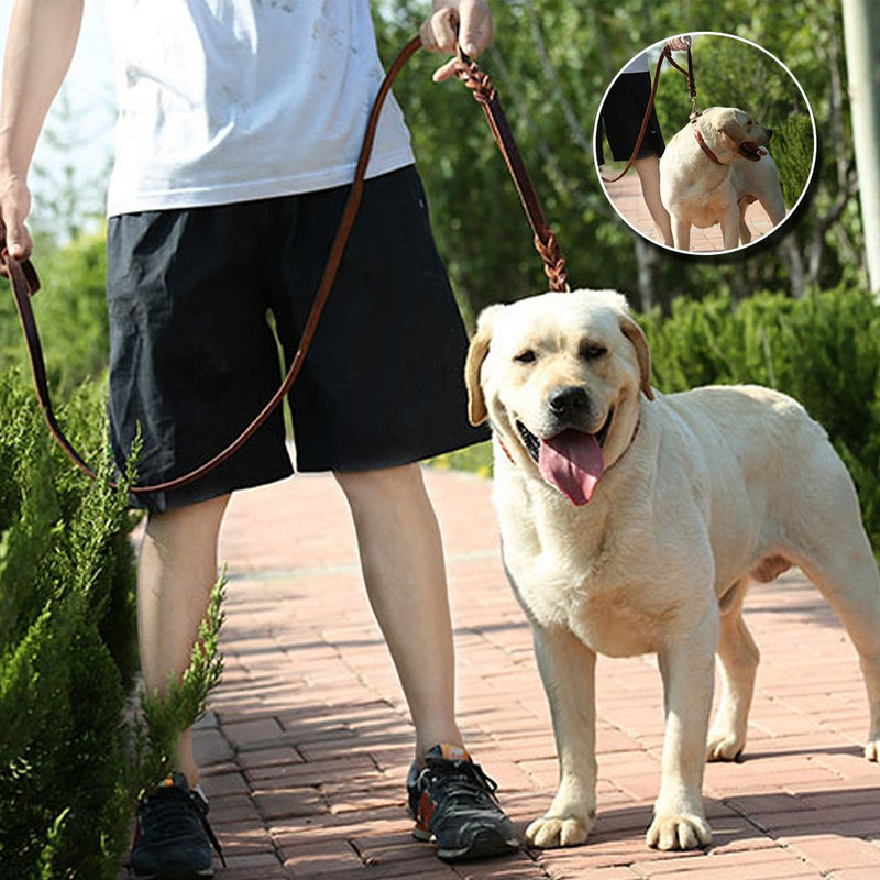 [Australia] - Wellbro Luxury Genuine Leather Double Handle Dog Leash, Braided Training Lead with Traffic Handle, Easy Control and Heavy Duty, 1.8cm Width by 6ft Length, Brown 