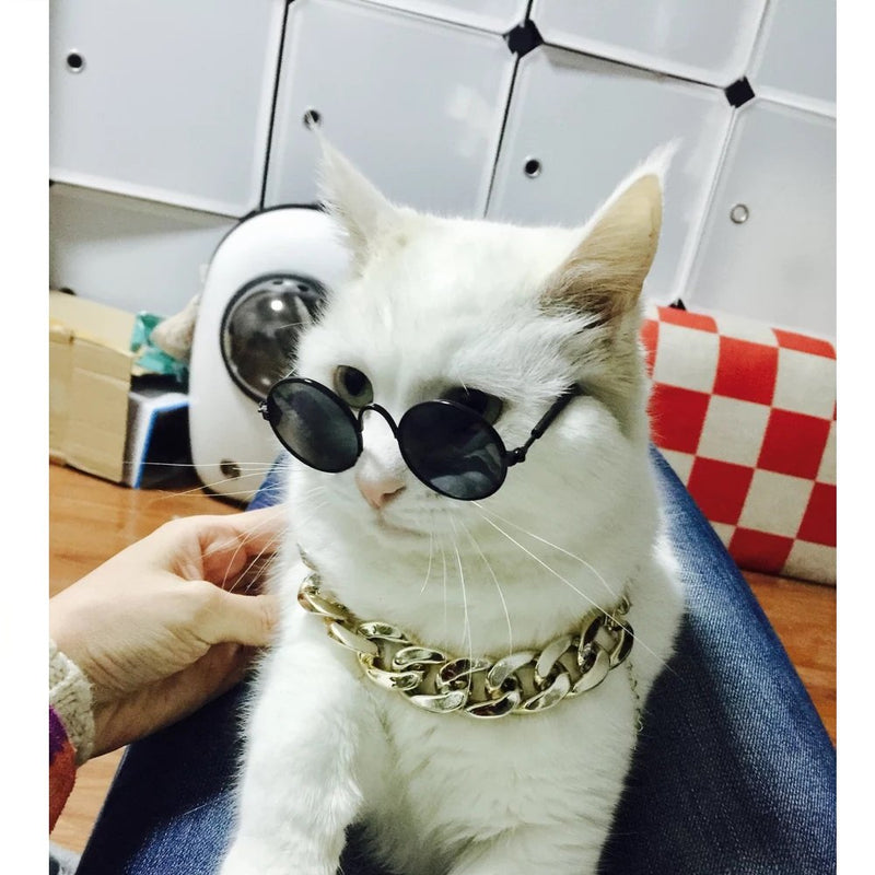 Stock Show Funny Cute Dog Cat Retro Fashion Sunglasses Glasses Transparent Eye-wear Protection Puppy Cat Teacher Bachelor Cosplay Glasses Pet Photos Props for Small Dog Cat Black - PawsPlanet Australia