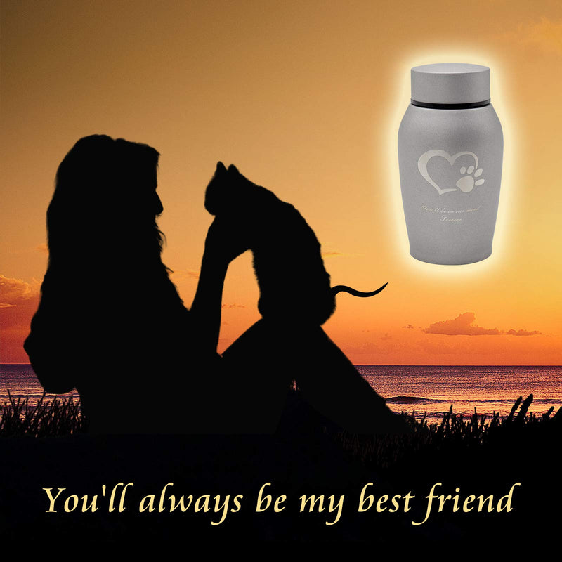 Amzlion Pet Urns for Dogs Ashes, Pet Urns for Cats,Dog Urn,Cat Urn,Memorial Ashes Urn,Cremation Urns for Dog,Urn Burial-Pet Sweetheart Paw Print/Tree of Eternal Life Medium-Heart Blue - PawsPlanet Australia