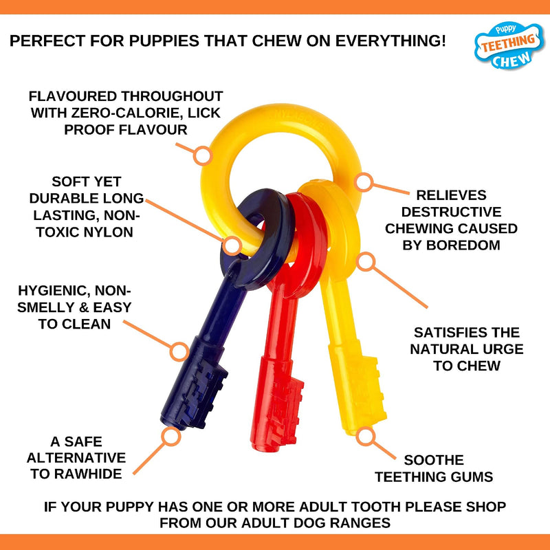 Nylabone Gentle Puppy Dog Teething Chew Toy Keys, Bacon Flavour, Medium, for Puppies Up to 16 kg - PawsPlanet Australia