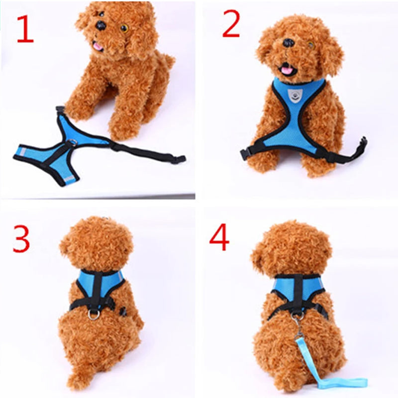 Soft Mesh Nylon Dog Vest Harness with 4ft Leash,Super Breathable Lightweight Safety Reflective Pet Harness for Dog Outdoor Walking,Adjustable Chest Belt with Quick-Release Buckle (Blue, S) blue - PawsPlanet Australia