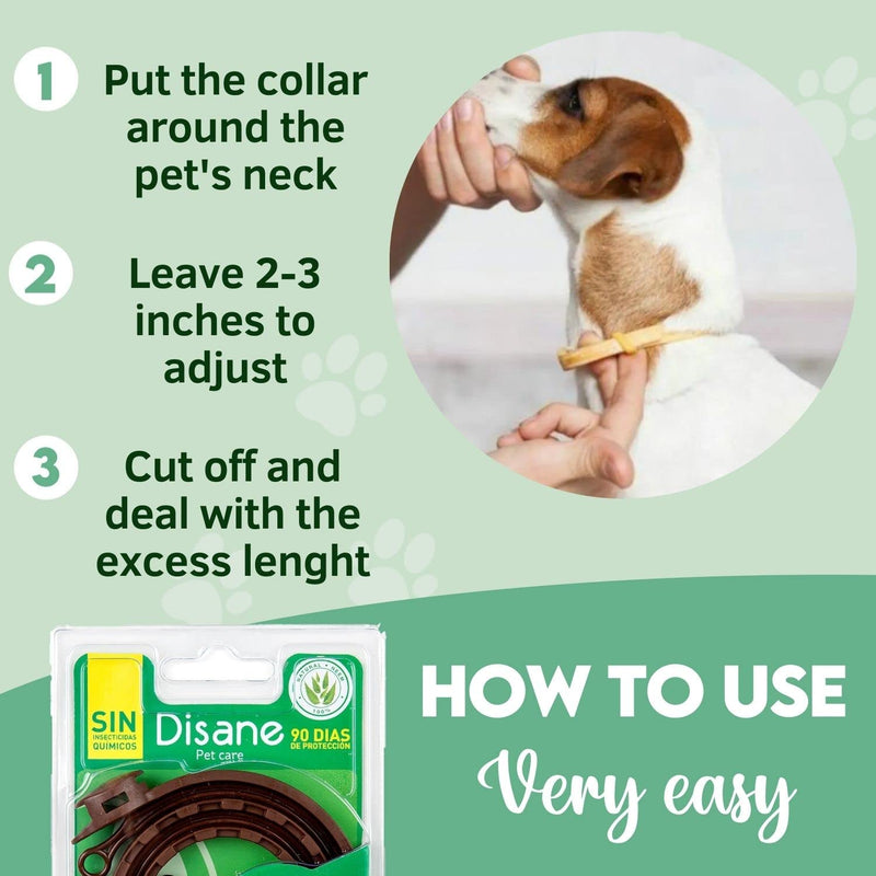 DISANE 100% Natural Pest Collar for Dogs | 3 months protection against insects and parasites: defense against fleas, ticks and mosquitoes - Leishmania | Antiparasitic collar for dogs and puppies - PawsPlanet Australia