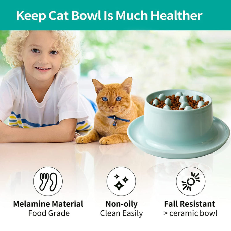 Slow Feeder Cat Bowls,Raised Cat Bowl Fun Pet Feeder Bowl Stopper,Interactive Bloat Stop Cat Feeder,Durable and Prevents Obesity Improves Digestion Pet Bowl Green fishbone design - PawsPlanet Australia