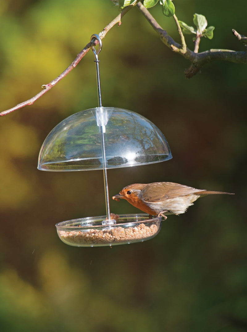 Clear Hanging Bird Feeder - I Love Robins Pearl Feeder with 15cm rain dome - attracts small garden birds. Fill with birdseed or mealworms 1 Clear - PawsPlanet Australia