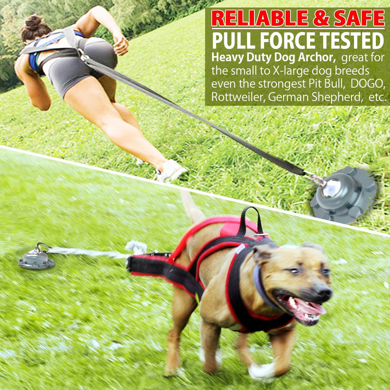Pestairs 360° Swivel Dog Tie Out Stake Dog Anchor – Lifetime Replacement - Heavy Dog Yard Stake Rust Proof Cat Anchor Dog Tether Holds 1000Lbs of Pull Force for Yard Camping Outdoor All sized animals Silver - PawsPlanet Australia