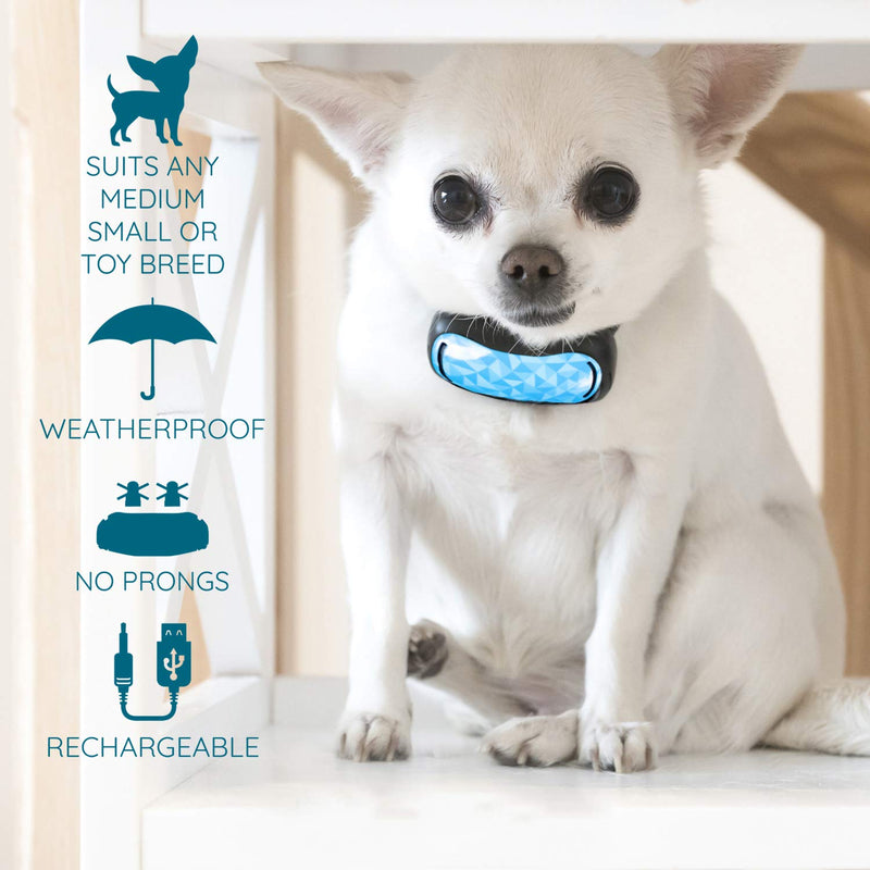 GoodBoy Small Rechargeable Dog Bark Collar for Tiny to Medium Dogs Weatherproof and Vibrating Anti Bark Training Device That is Smallest & Most Safe On Amazon - No Shock No Spiky Prongs! (6+ lbs) Blue - PawsPlanet Australia
