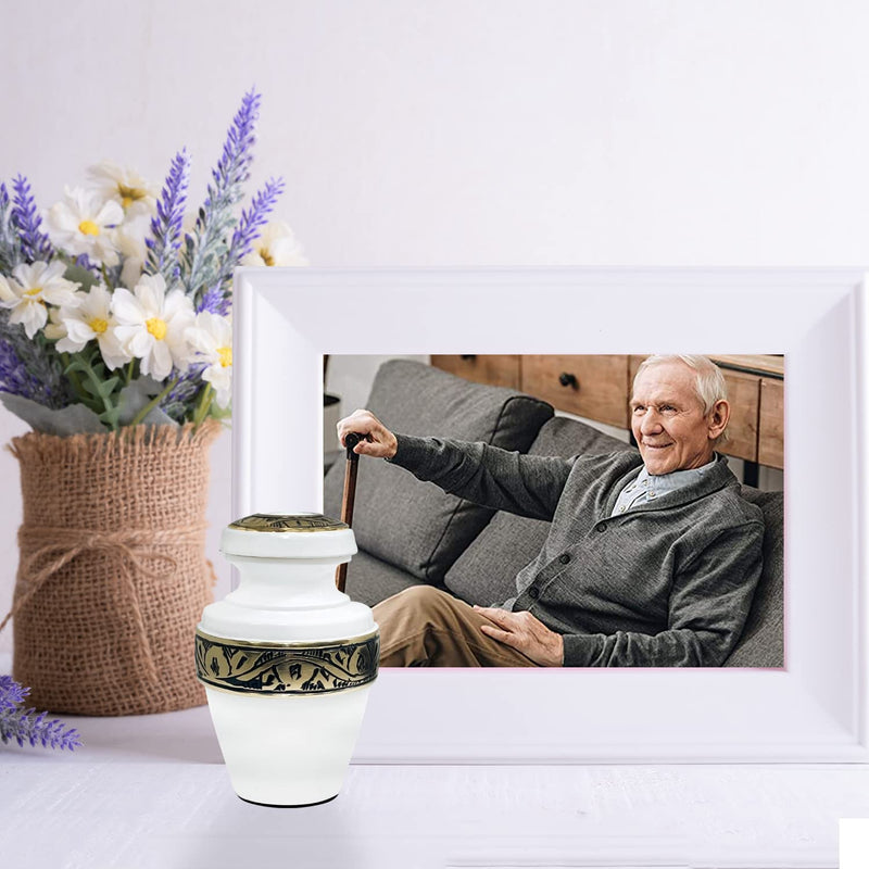 White Keepsake Urn - Small Urn for Ashes with Premium Box & Bag - White Memorial Urn for Human Ashes - Honour Your Loved One with Mini Cremation Urn - Perfect Funeral Urn for Adults & Infants - PawsPlanet Australia