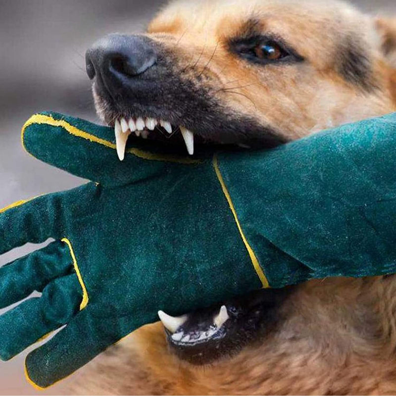 XIEHUZA Animal Handling Anti-Bite Gloves, 16inch Reinforced Leather Welding Gloves for Gardening, Grooming, Dog Training, Cat Scratch, Bird Handling Falcon Gloves Grabbing, Bite Resistant Feed Gloves 40cm/ 16inch - PawsPlanet Australia