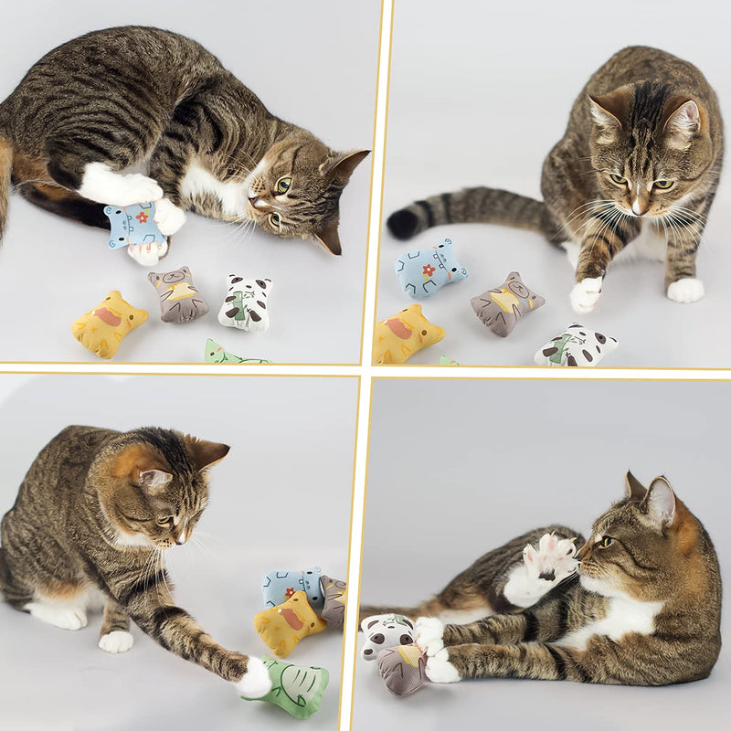 piece cat toy set, cat toy set made of cat cushion, valerian cushion toy with catnip, cat toy activity, sweet catnip toy for scratching, playing and chewing B - PawsPlanet Australia
