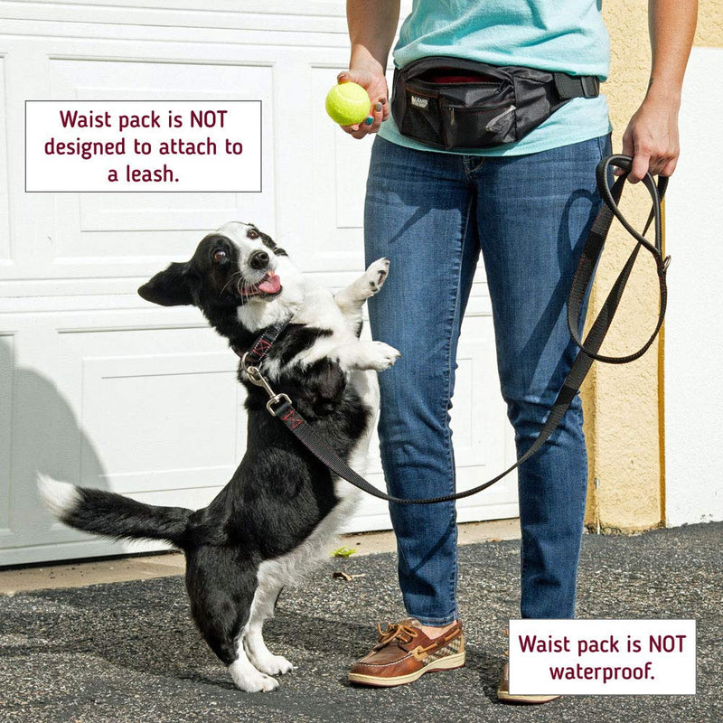 Leashboss PackUp Pouch Dog Treat Training Waist Belt, Storage Fanny Pack and Waste Bag Dispenser 1.5L Black - PawsPlanet Australia
