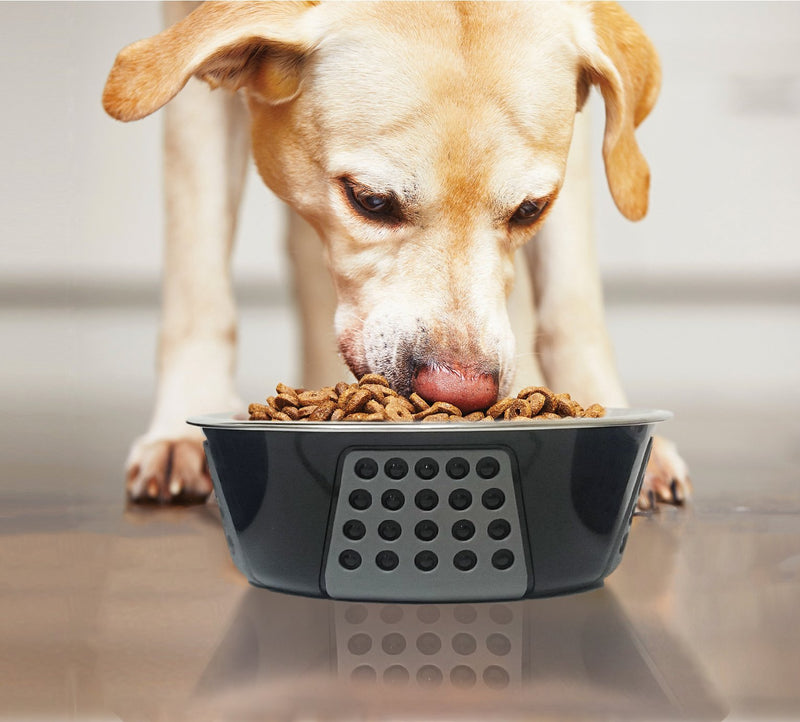 [Australia] - Ethical Pets Spot Tribeca Dog Bowl 55 oz Red 