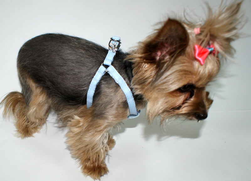 Dingo New York Harness for Small Breeds, Decorative Harness for Dog Made of Blue Leather 10833 - PawsPlanet Australia