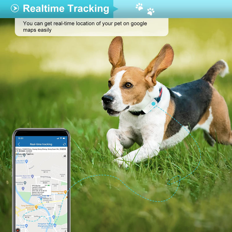 Winnes GPS Tracker for Dogs, Anti-Lost, Real-Time Tracking APP/Web Platform No SUBSCRIPTION with Sound/Light Alarm for Finding Pets 2G TK911 PRO - PawsPlanet Australia