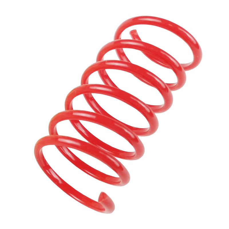 Tamu style Cat Spring Toys (60 Pack), Playful Coils for Kittens, BPA Free Plastic for Swatting, Biting, Hunting, and Active Healthy Play, Colorful 2 Inch Spirals - PawsPlanet Australia