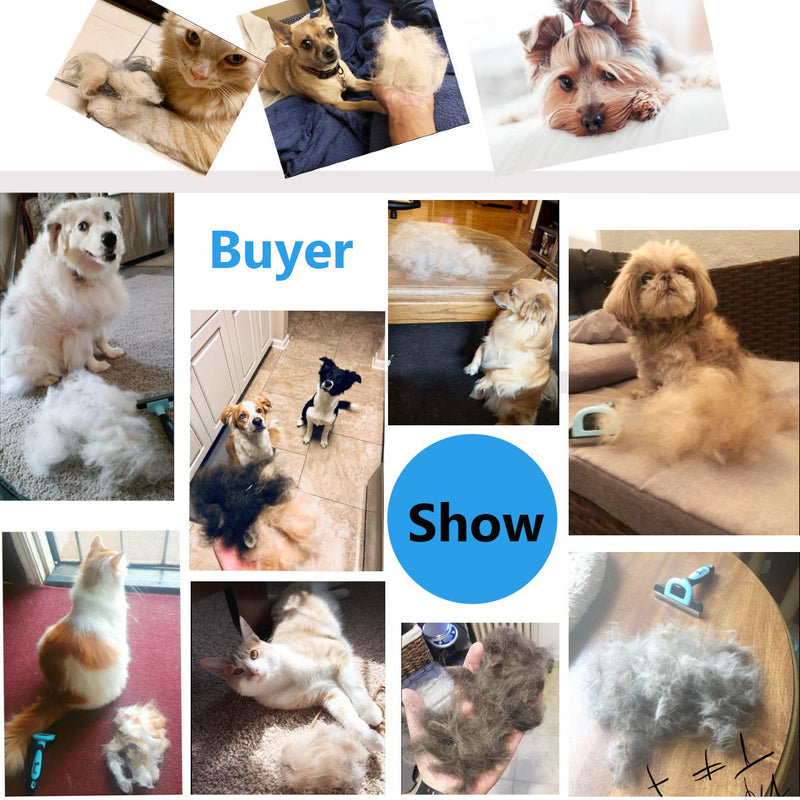 petgle Cat Brush &Cat Comb for Shedding,Pet Deshedding Brush for Cat and Small Dog Reduces Loose Undercoat by 95% Cat Grooming Brush and Deshedding Tools for Long Hair and Short Hair 2.5inch Blue - PawsPlanet Australia