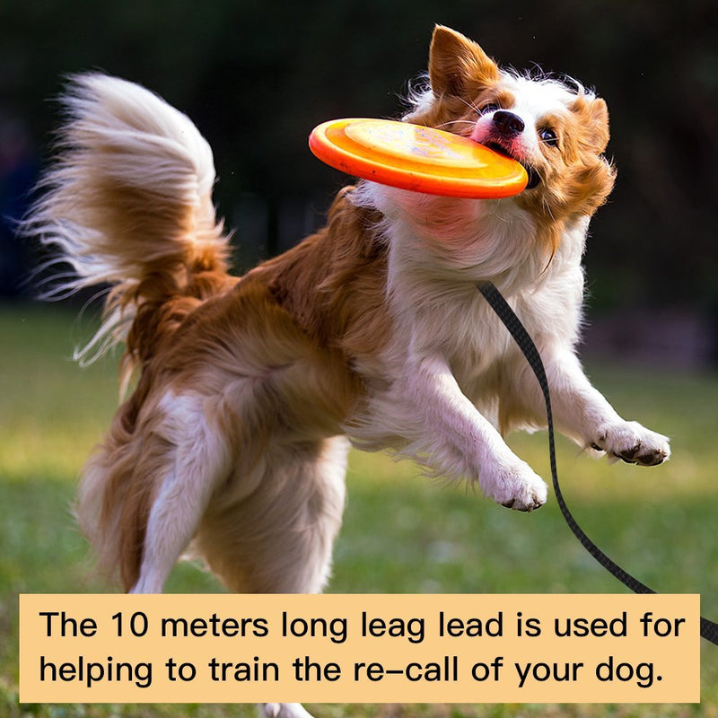 50ft (15M) Dog & Horse Training Lunge Lead. Dog Leads Training Leash for Camping Tracking Training Obedience Backyard Play 15m 50ft Long Nylon (15m / 50 Foot, Black) 15m / 50 Foot - PawsPlanet Australia