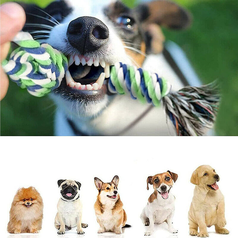 12 Pcs Dog Rope Toys Set, Durable Dog Rope Toys for Small Pets Dogs, Puppy Toys Set Dog Chew Toys for Interactive, Teething Training, Relieve Boredom and Stress for Small Medium Large Dogs - PawsPlanet Australia