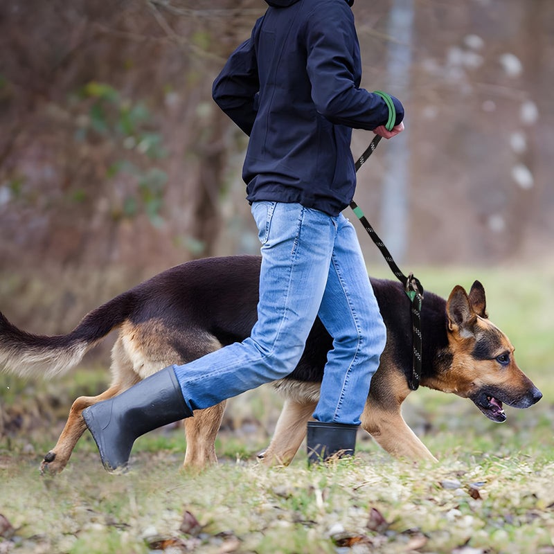 Lollanda Adjustable Dog Lead, Reflective Dog Lead, Long Training Lead, Dog Lead for Large & Medium Dogs (Green) Green - PawsPlanet Australia