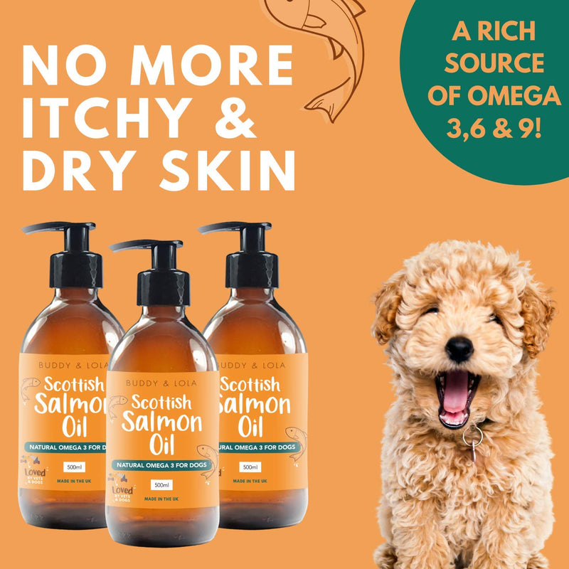 Buddy & Lola 100% Pure Food Grade Scottish Salmon Oil For Dogs Cats & Pets (500ml) - Natural Omega 3, 6 & 9 For a Shiny Coat, Better Skin & Joints, Less Itching and Improved Cognitive Health 500 ml (Pack of 1) - PawsPlanet Australia